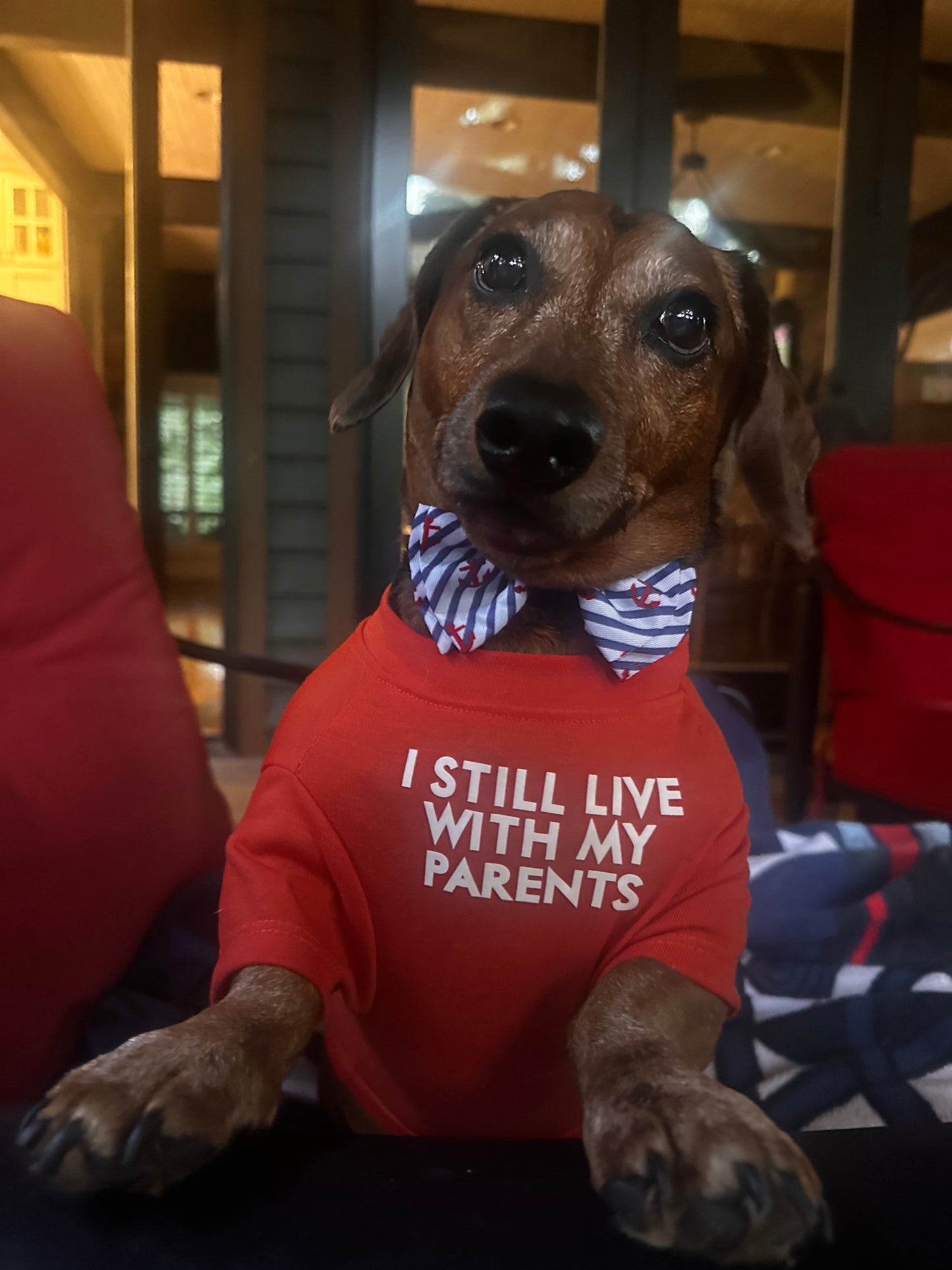 I Still Live With My Parents — Dog T-Shirt