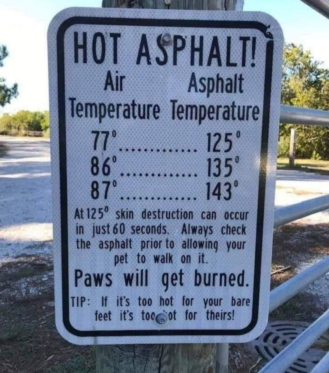 Hot Asphalt warning sign showing air vs pavement temperature comparisons — a reminder that paws will get burned on hot summer sidewalks.
