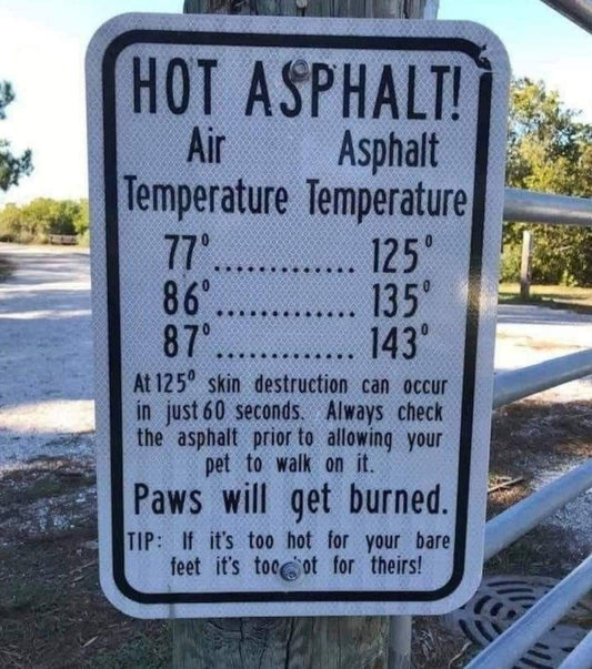Hot Asphalt warning sign showing air vs pavement temperature comparisons — a reminder that paws will get burned on hot summer sidewalks.