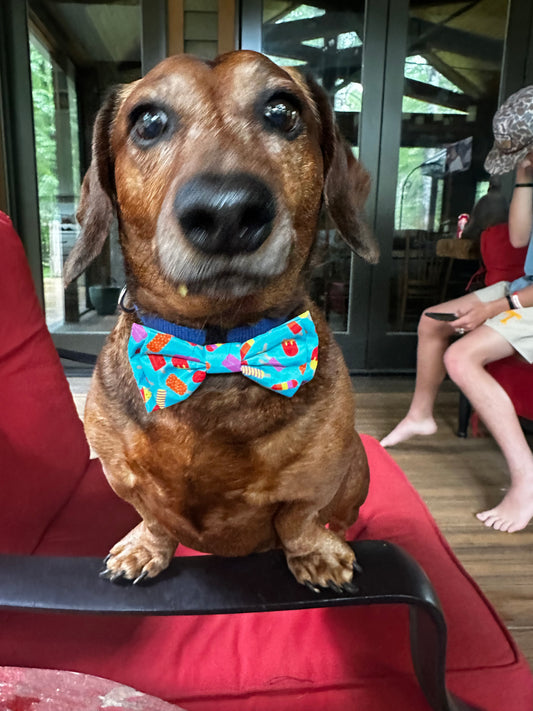 Summer Lovin' Bow Tie