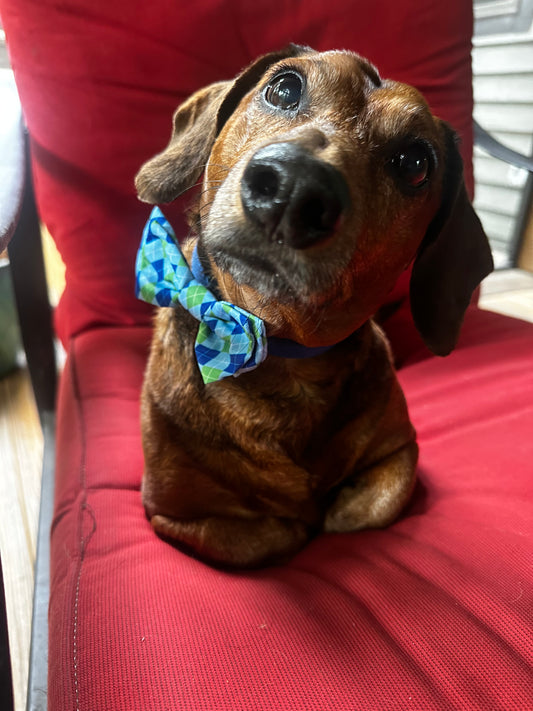 Tennessee Gentleman Bow Tie