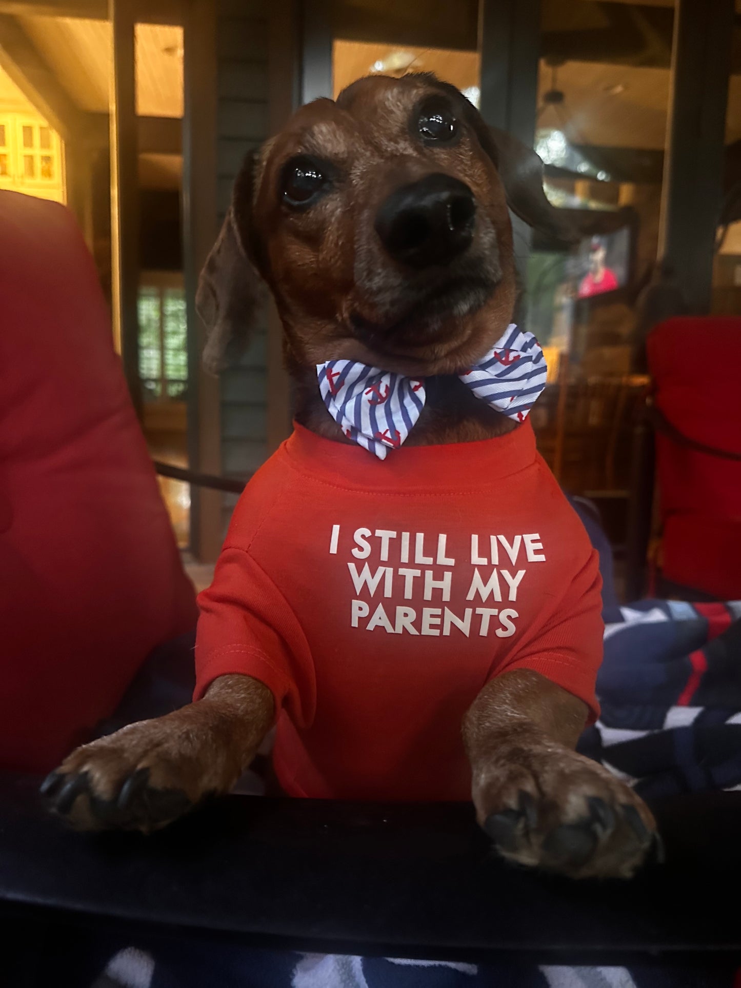 I Still Live With My Parents — Dog T-Shirt