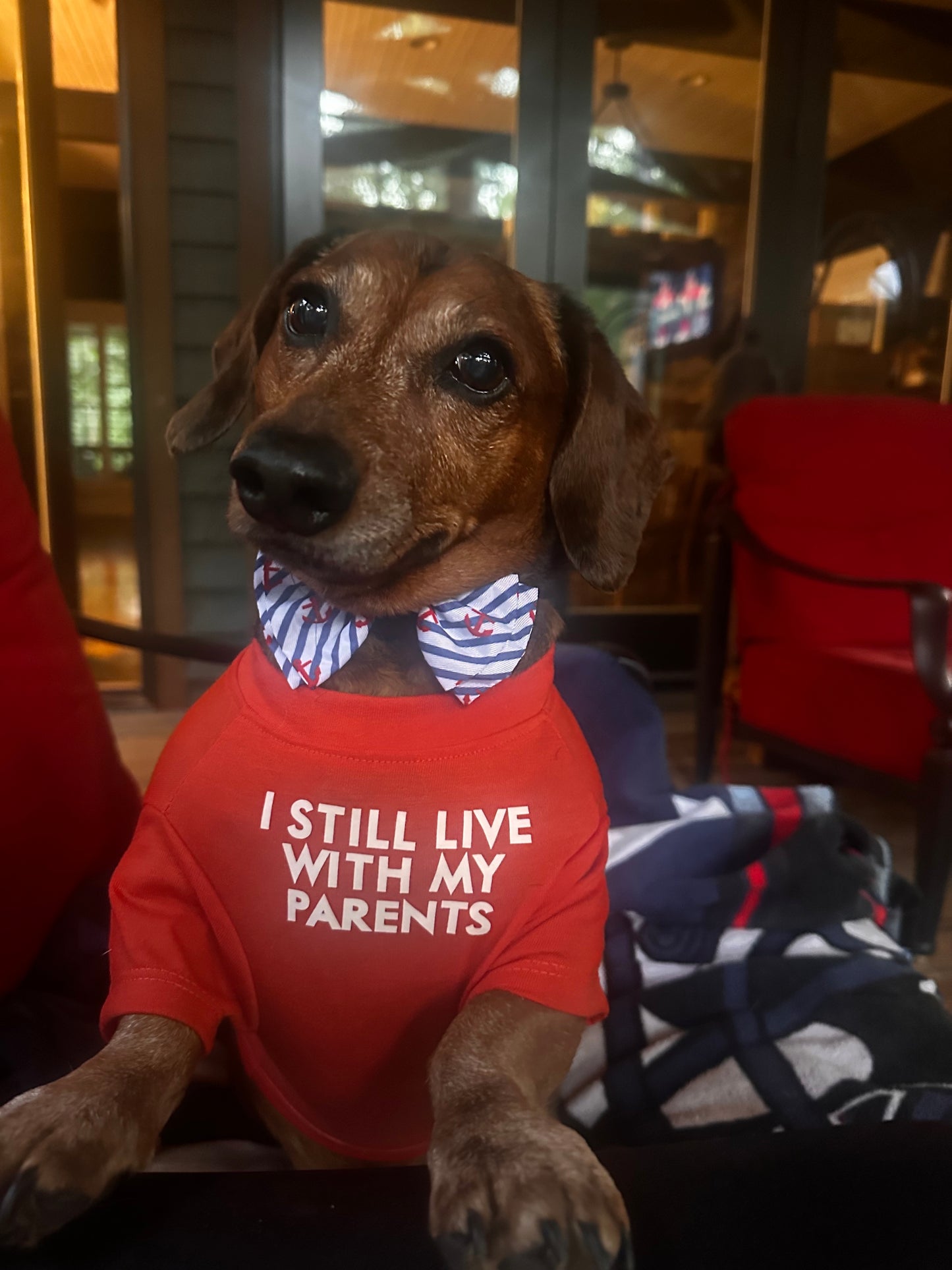 I Still Live With My Parents — Dog T-Shirt