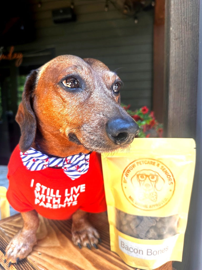 The Dapper Dog Bundle — Dog Tee + Bow Tie Set | Mr. Weenie Approved