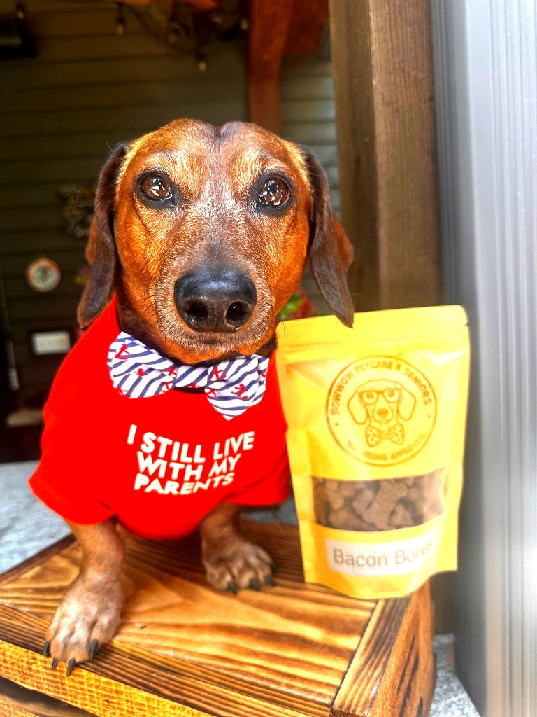 The Dapper Dog Bundle — Dog Tee + Bow Tie Set | Mr. Weenie Approved