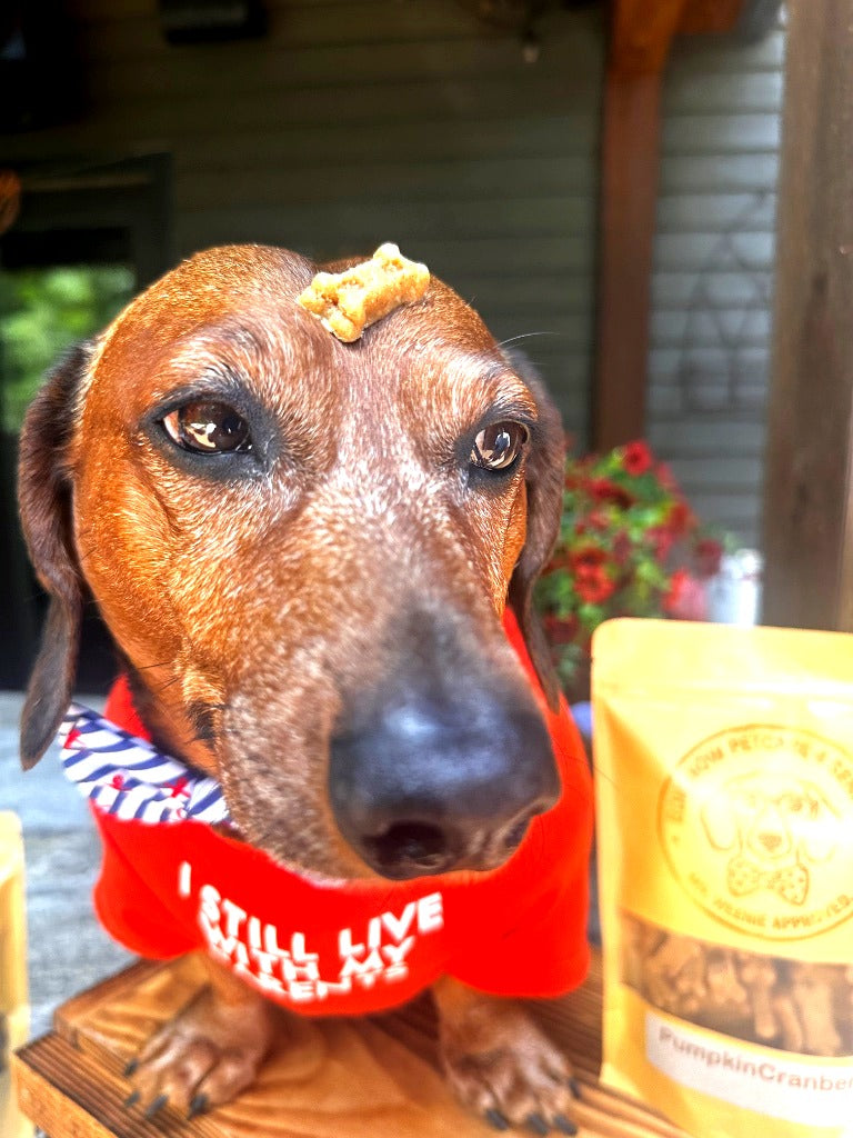 Ingredient facts and clean label layout for Bowwow Pet Care Carrot Cake treats, showing natural beet root and vanilla baking ingredients. 