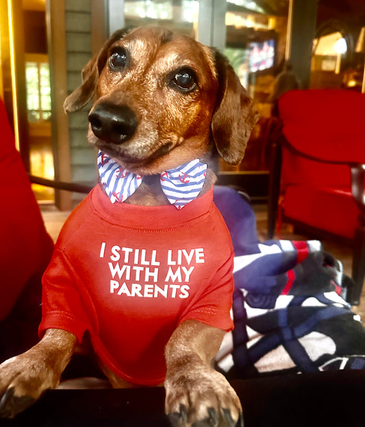 I still live with my parents — dog t-shirt